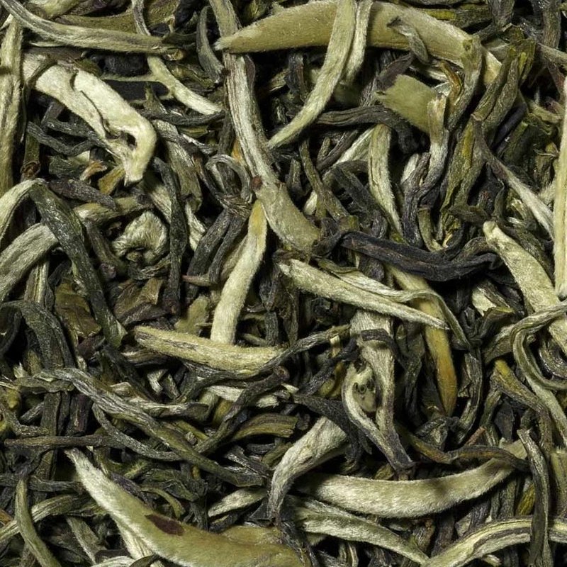 Té Blanco White Dragon Bai Long China Té Blanco White Dragon Bai Long China